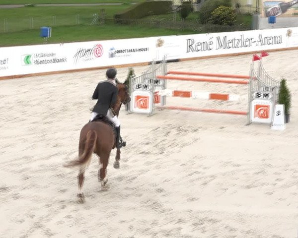 Reitturnier Horn 2018