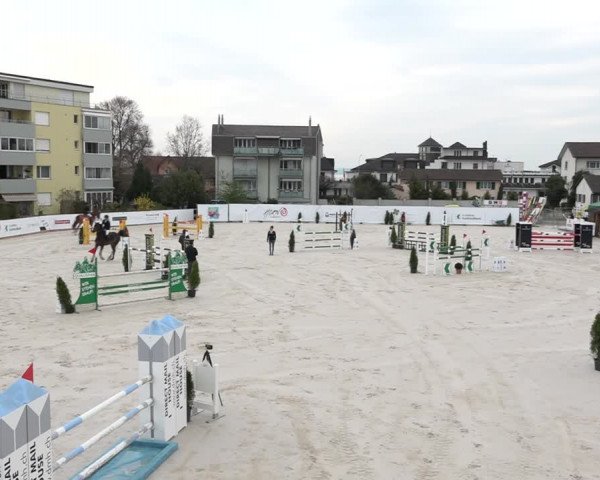 Reitturnier Horn 2018