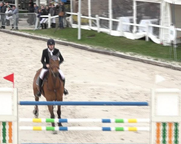 Reitturnier Horn 2018