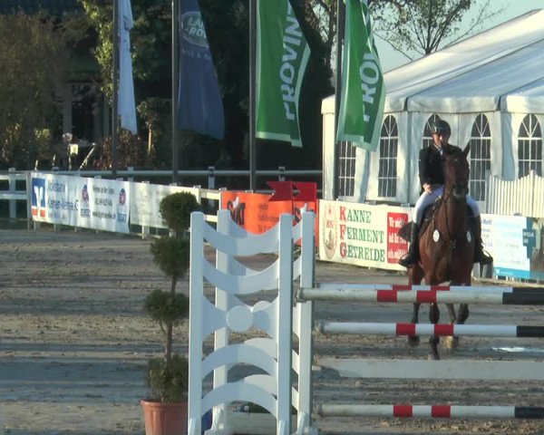Lenklarer Reitertage 2018