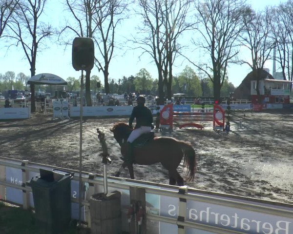 Lenklarer Reitertage 2018