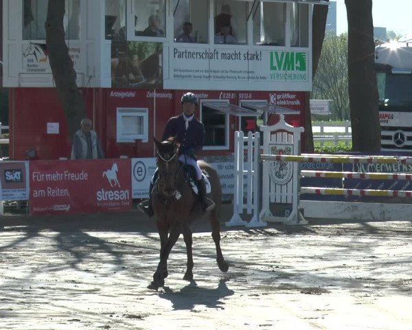 Lenklarer Reitertage 2018