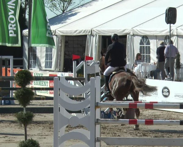 Lenklarer Reitertage 2018