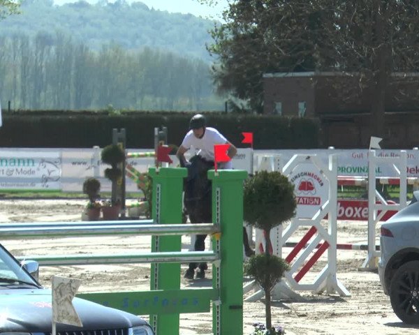 Reitturnier Werne-Lenklar 2018