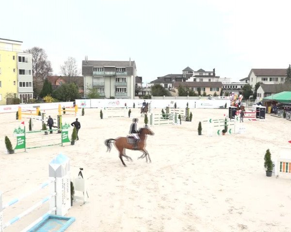 Reitturnier Horn 2018