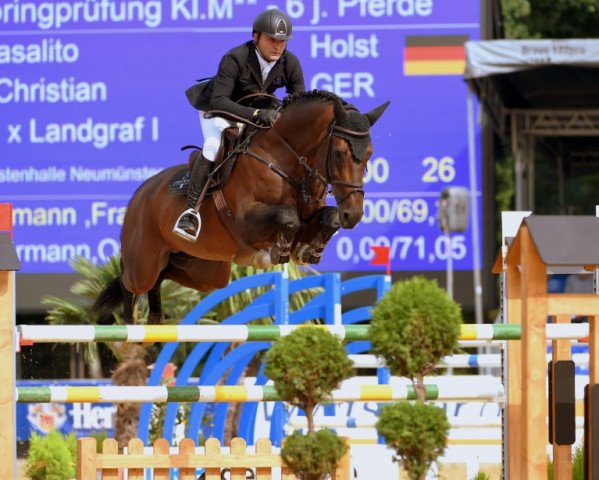 stallion Casalito (Holsteiner, 2009, from Casall Ask) stallion Casalito (Holsteiner, 2009, from Casall Ask)