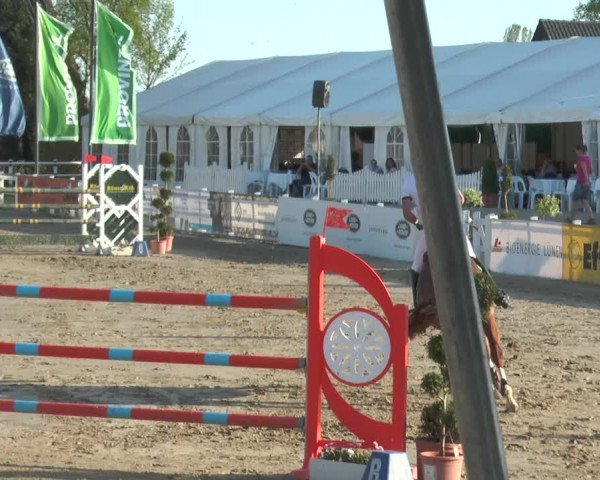 Lenklarer Reitertage 2018