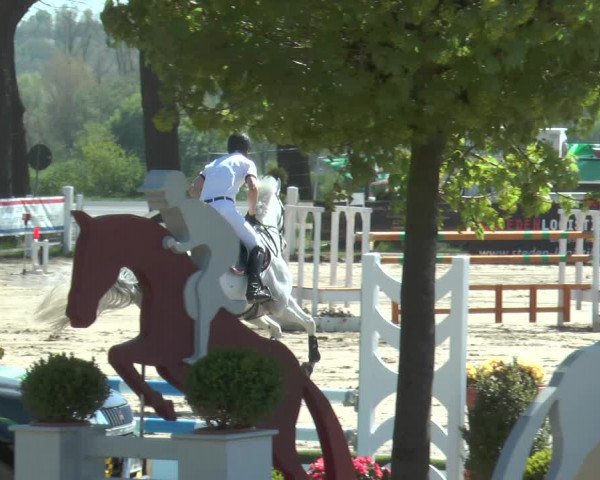 Reitturnier Werne-Lenklar 2018