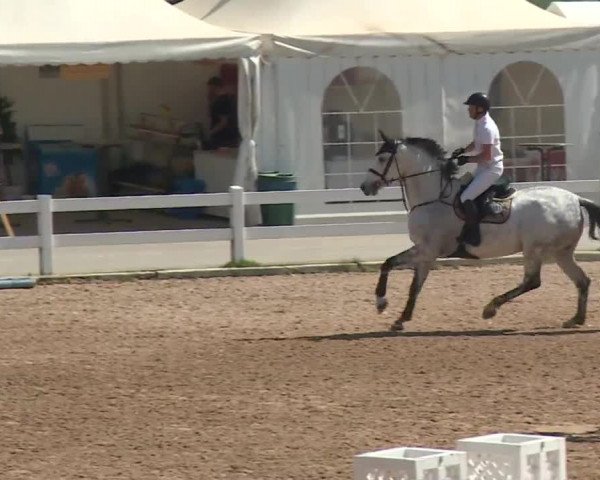 Reitturnier Kreuth 2018