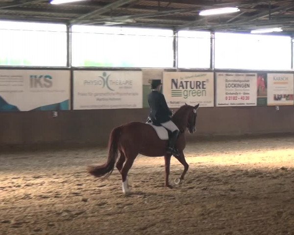 Reitturnier Jüchen-Waat 2018