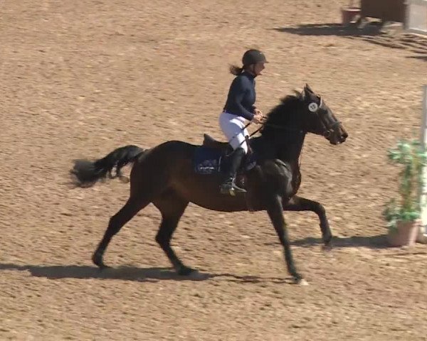Reitturnier Kreuth 2018
