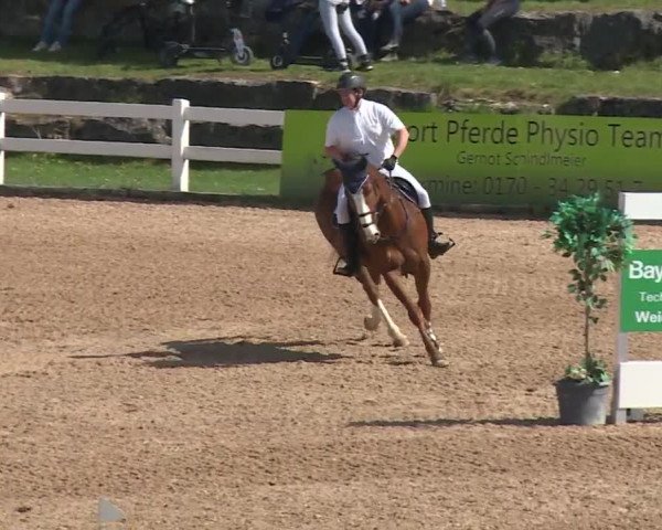 Reitturnier Kreuth 2018