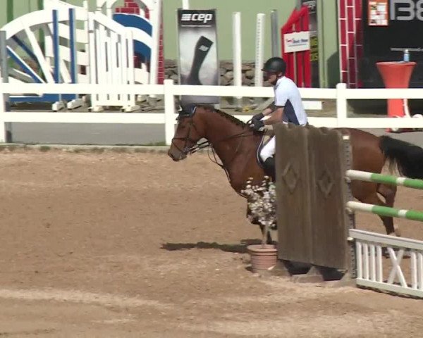 Reitturnier Kreuth 2018