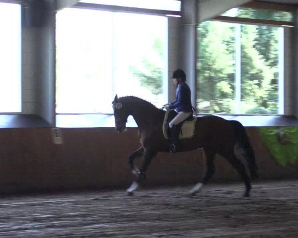 Reitturnier Dohren 2018