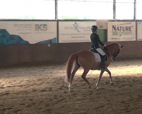 Reitturnier Jüchen-Waat 2018