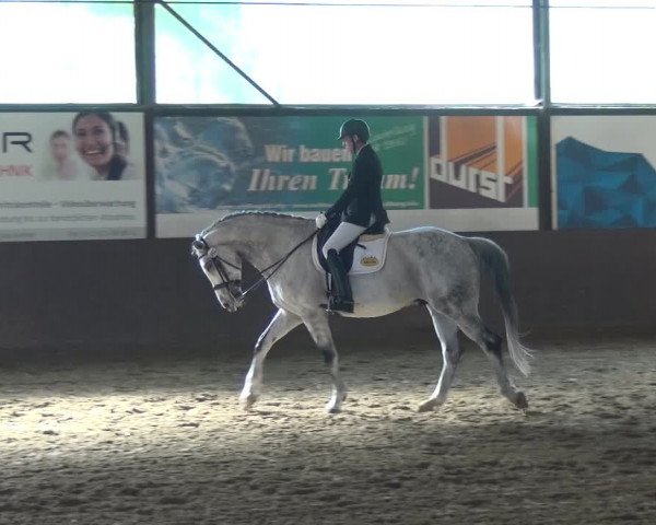 Reitturnier Jüchen-Waat 2018