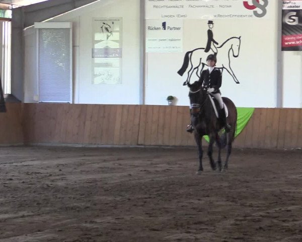 Reitturnier Dohren 2018
