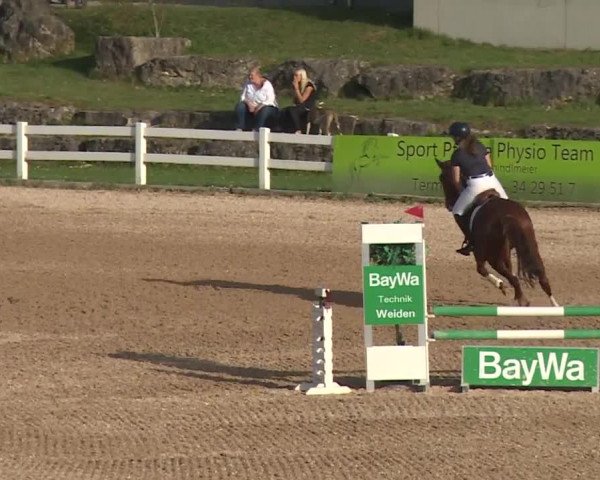 Reitturnier Kreuth 2018