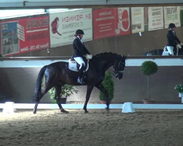 Reitturnier Jüchen-Waat 2018