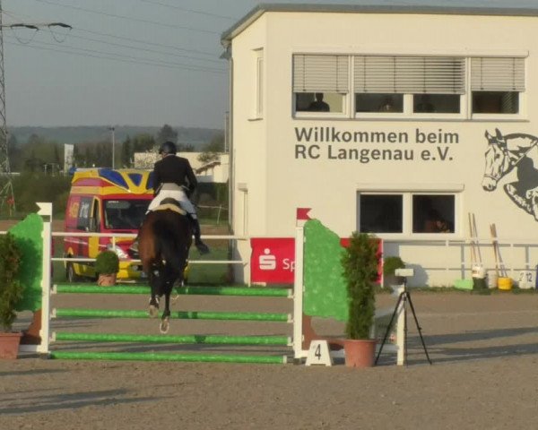 Reitturnier Langenau 2018