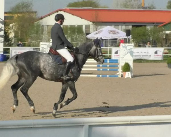Reitturnier Langenau 2018