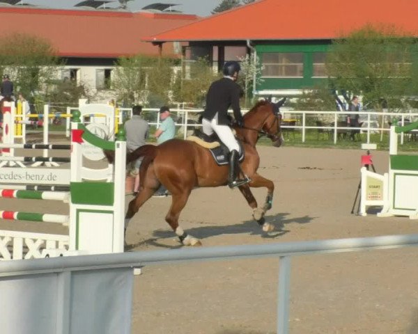 Reitturnier Langenau 2018