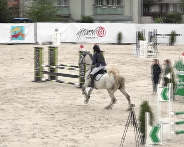Reitturnier Horn 2018