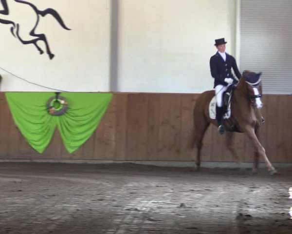 Reitturnier Dohren 2018
