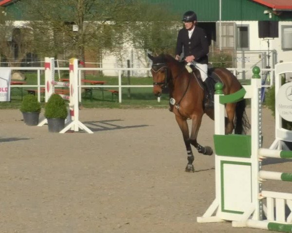 Reitturnier Langenau 2018