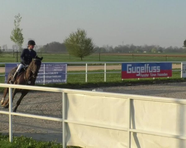 Reitturnier Langenau 2018