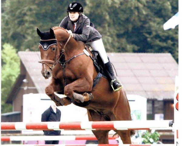 jumper Champ of Classic (Hanoverian, 2004, from Charon)