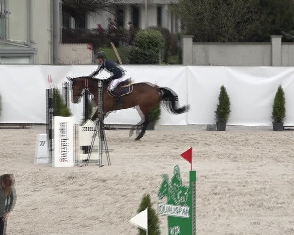 Reitturnier Horn 2018
