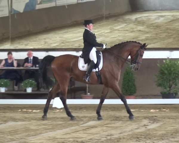 Reitturnier Jüchen-Waat 2018