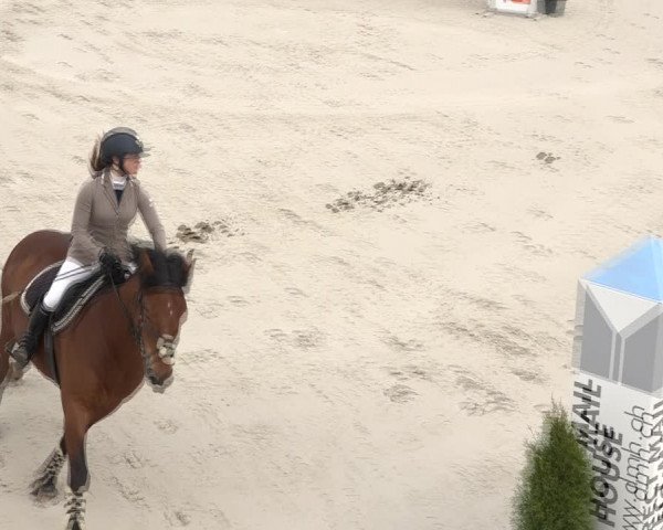 Reitturnier Horn 2018