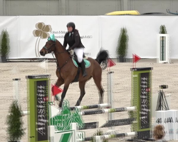 Reitturnier Horn 2018