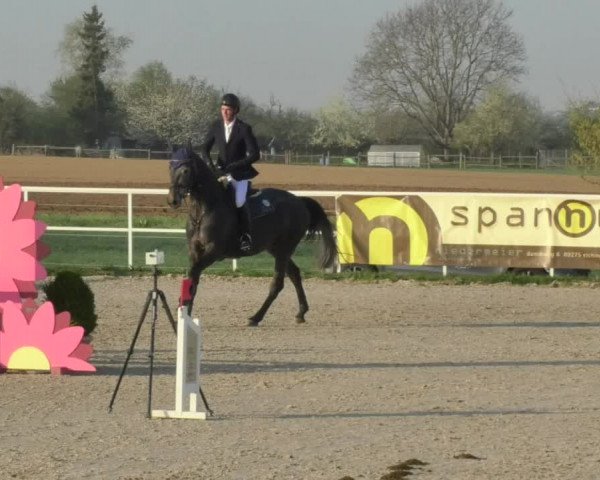 Reitturnier Langenau 2018