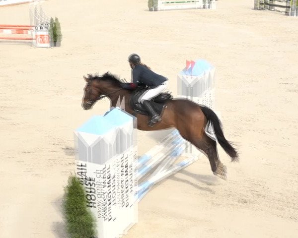 Reitturnier Horn 2018