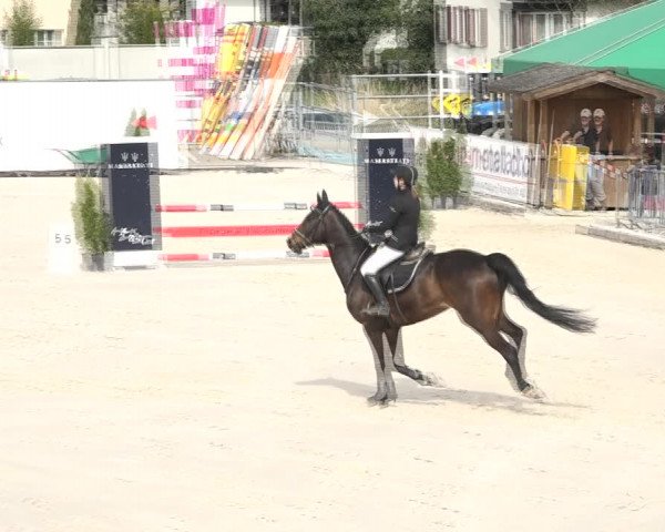 Reitturnier Horn 2018