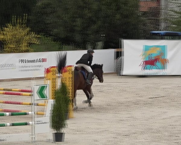 Reitturnier Horn 2018