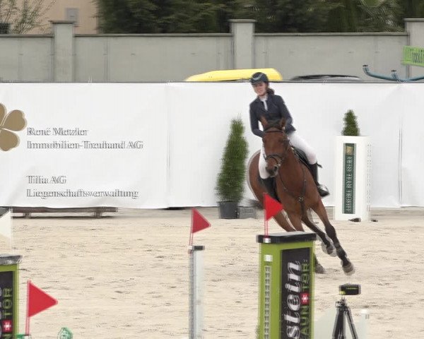 Reitturnier Horn 2018