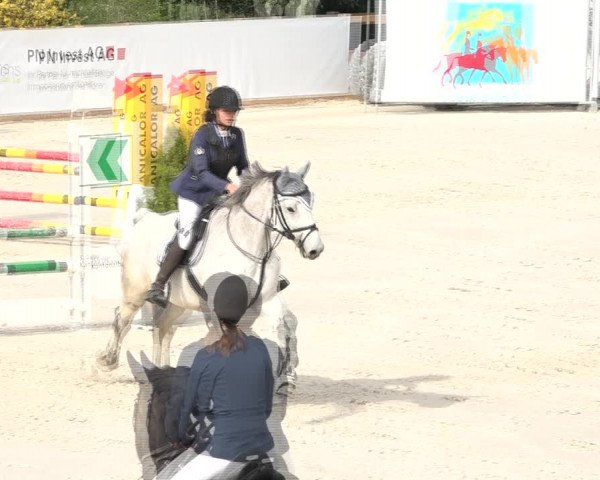 Reitturnier Horn 2018