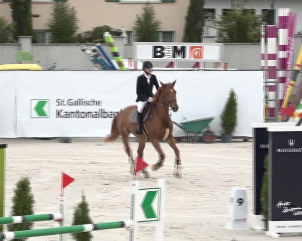 Reitturnier Horn 2018