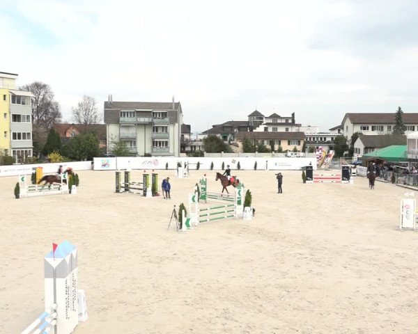 Reitturnier Horn 2018