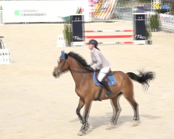Reitturnier Horn 2018