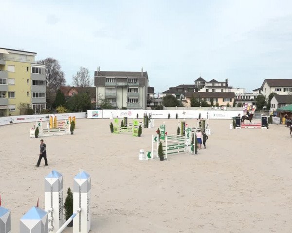 Reitturnier Horn 2018