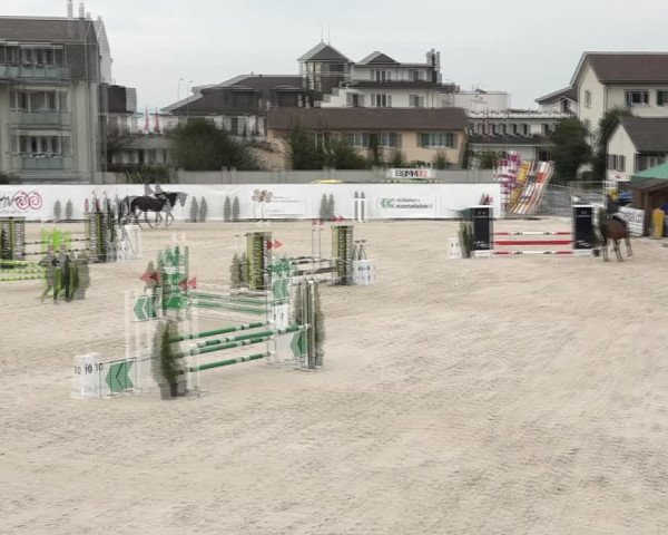 Reitturnier Horn 2018