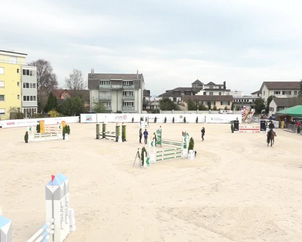 Reitturnier Horn 2018