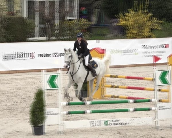 Reitturnier Horn 2018