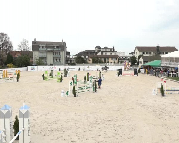 Reitturnier Horn 2018