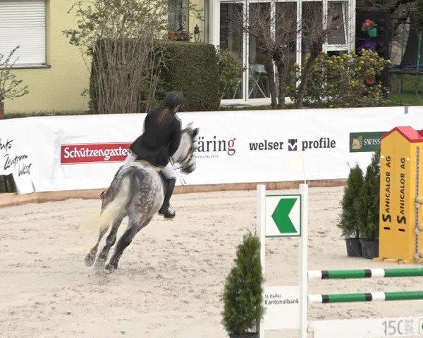 Reitturnier Horn 2018